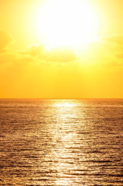 istock Tropical Sunset , digital , photo, image 1446617898