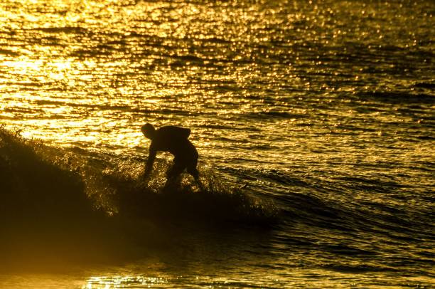 istock Silhouette Surfer at Sunset , digital , photo, image 1446618073