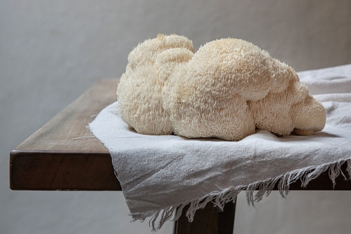 A closeup shot of Lion's mane mushrooms on a white cloth placed on a wooden table