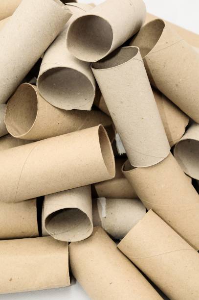 istock Empty Toilet Paper Roll , digital , photo, image 1446618684