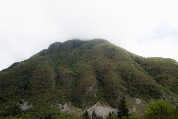 istock Mountain covered with forest in Slovenia 1446618853