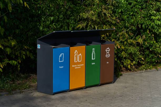 istock Modern waste sorting bin against the trees in the park 1446619005