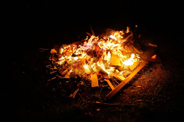 istock Small campfire with gentle flames in the forest 1446619344