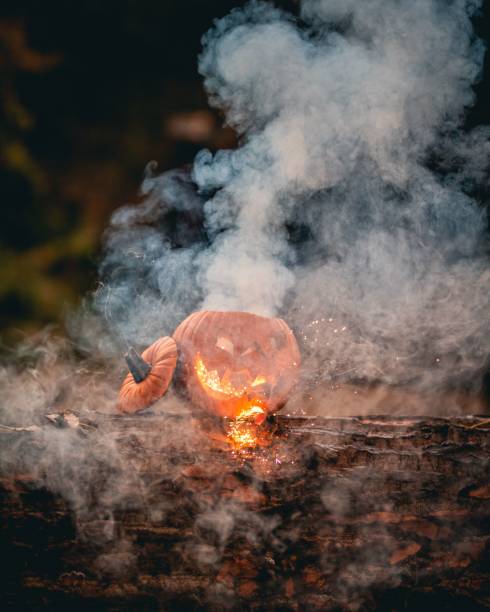 istock Halloween pumpkin burning in the forest. 1446620909