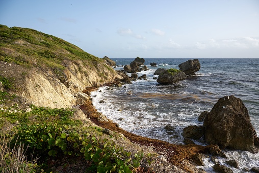 a beautiful view of coast with big rocks