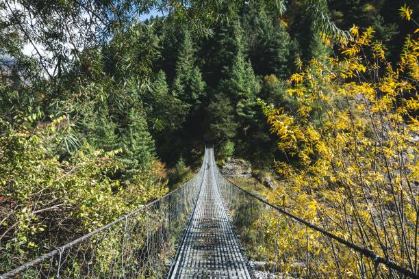istock Suspended bridge in Nepal surrounded by trees 1446621962
