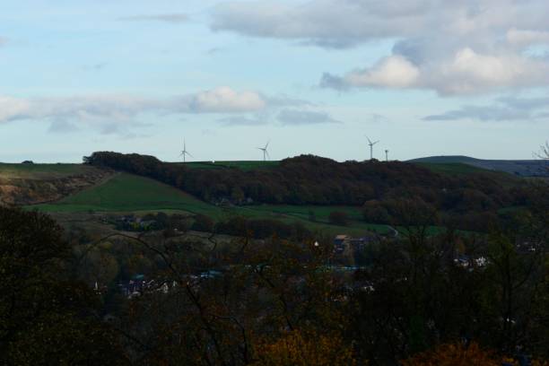 istock Field with trees and windmills under a cloudy sky 1446622608