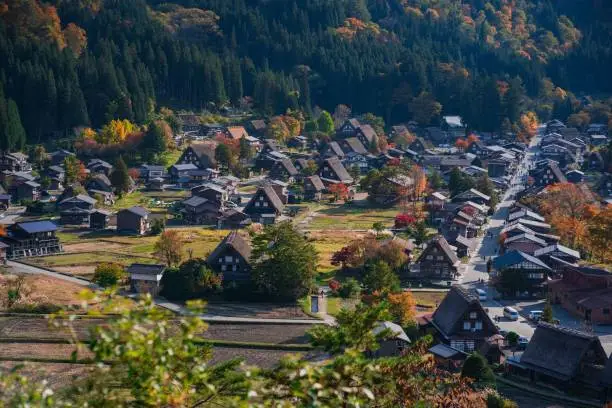 A traditional houses in Shirakawa Go in Japan surrounded by autumn forest trees on a sunny day