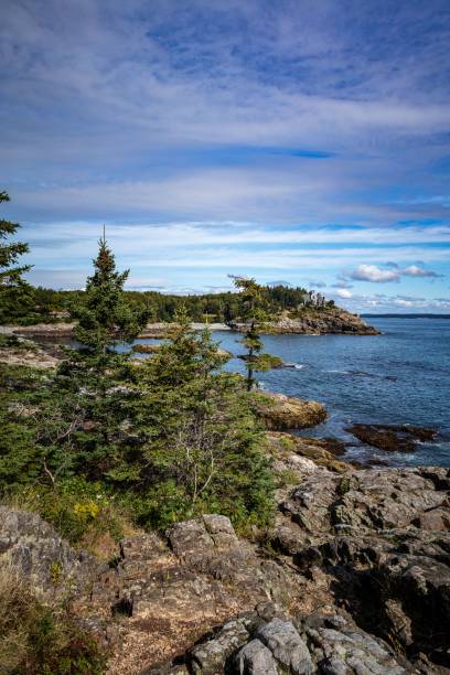 istock Vertical shot of rocky coast with trees against a cloudy sky 1446623007