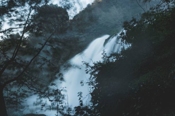 istock Beautiful, mysterious view of a waterfall in a forest 1446623404