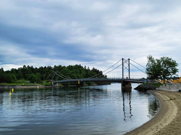 istock Small suspension bridge over the lake on a cloudy day 1446623907