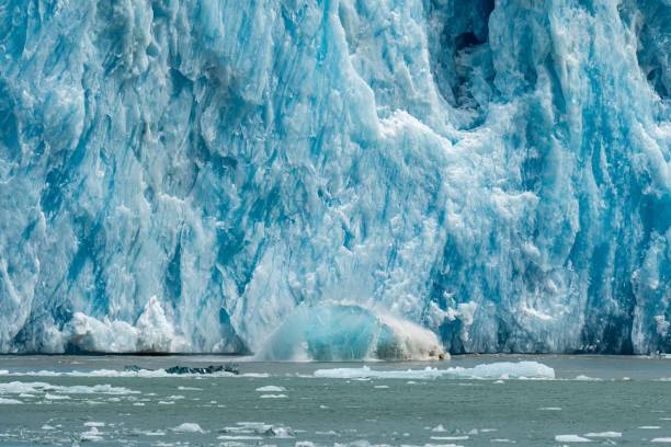 istock Large calving glacier in Inside Passage, Alaska 1446624318