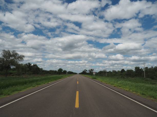 istock Wide road surrounded by rees and bushes under the blue cloudy sky 1446624408