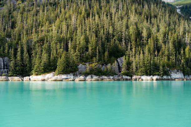 istock Mesmerizing landscape with a green forest in Inside Passage, Alaska 1446624441