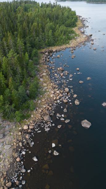 istock A rocky beach with tall green trees in Finland 1446624963