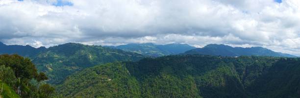 istock Panorama of mountains covered with green forests under the cloudy sky 1446625011