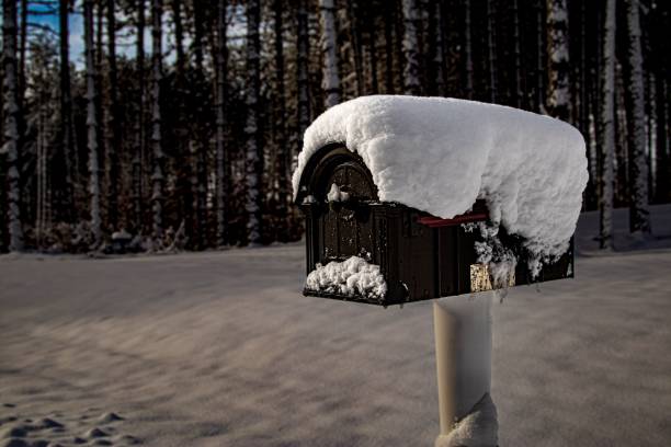 istock Closeup view of freestanding mailbox covered with snow 1446625307