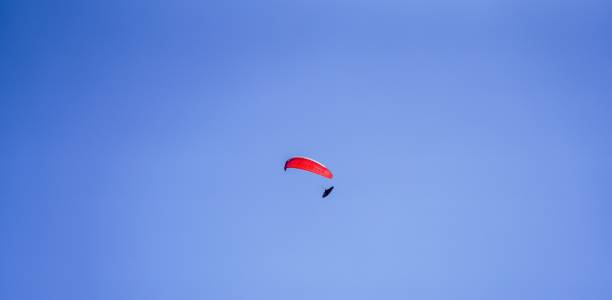 istock Paraglider with a red parachute in the blue sky 1446627223