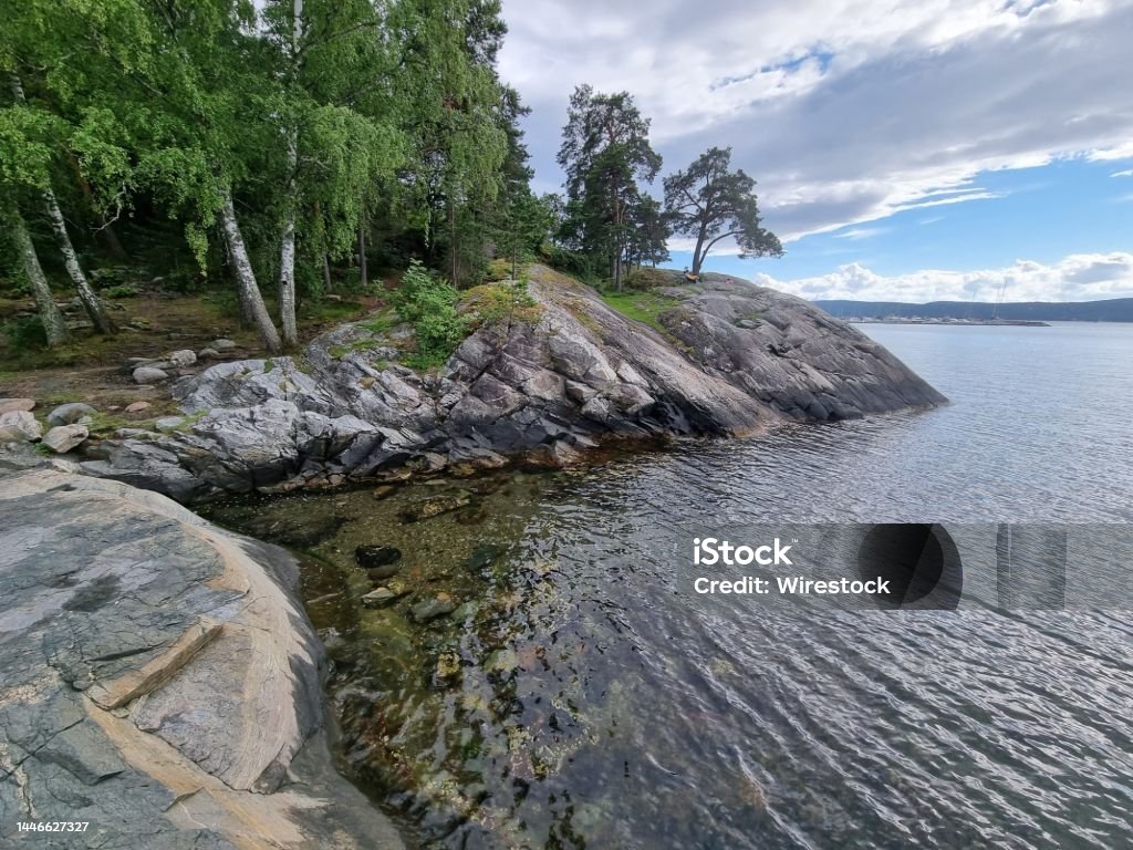Beautiful landscape of trees on a shore on a cloudy morning A beautiful landscape of trees on a shore on a cloudy morning Bay of Water Stock Photo