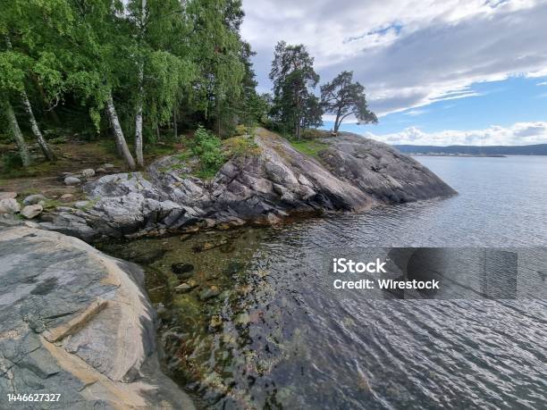 Beautiful Landscape Of Trees On A Shore On A Cloudy Morning Stock Photo - Download Image Now