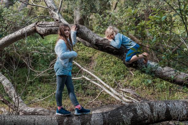 istock Selective of two young girls on a broken tree in a park 1446627539