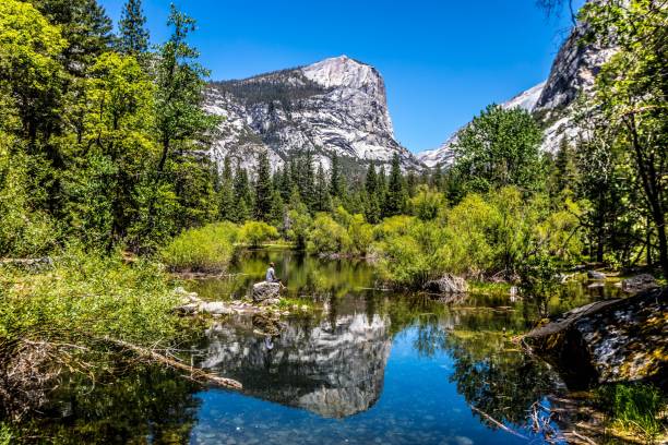 istock Calm river and forest against a rocky mountain landscape under a clear blue sky 1446627541
