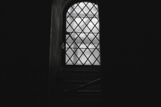 istock Grayscale shot of a grated arched window on a wall 1446627591