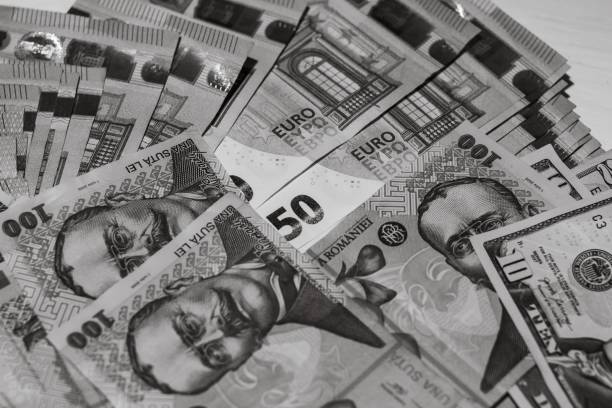 istock Grayscale closeup of one hundred lei banknotes. 1446627621