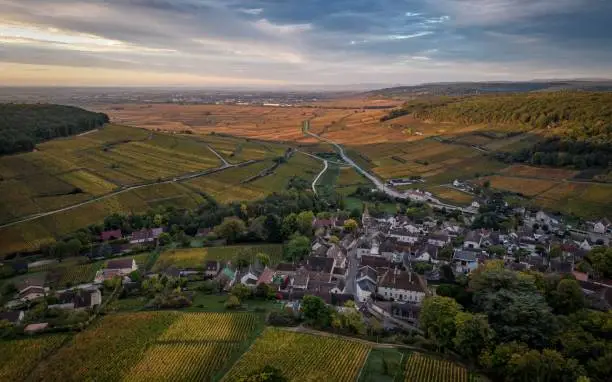 The vineyards of Pernand Vergelesses, Burgundy, in autumn. France