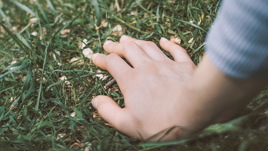A closeup shot of a hand leaning on green grass on a field