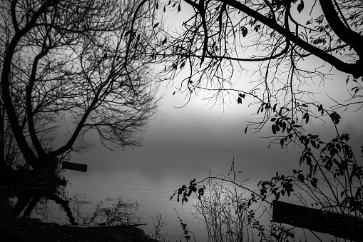 A scenic view of a lake in mist with tree branches in the foreground