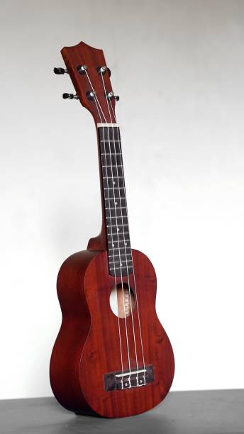 istock Vertical shot of ukulele isolated on white background 1446629902