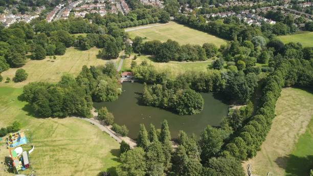 istock Aerial view of a boating pond 1446630016