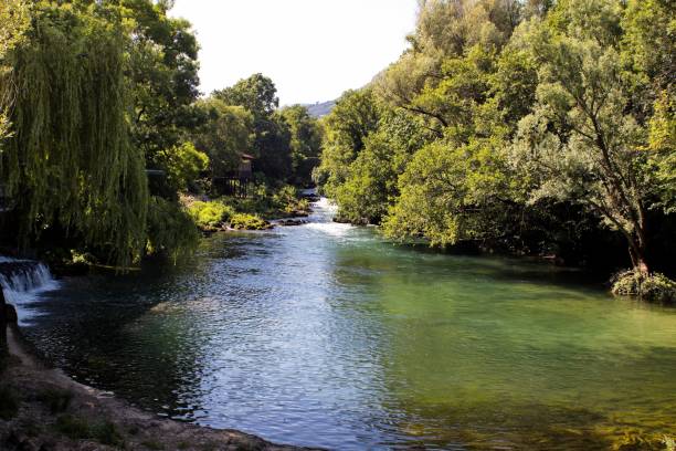 istock Landscape of a river surrounded by greenery under the sunlight 1446630523