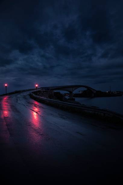 istock Vertical shot of the bridge at night 1446630598