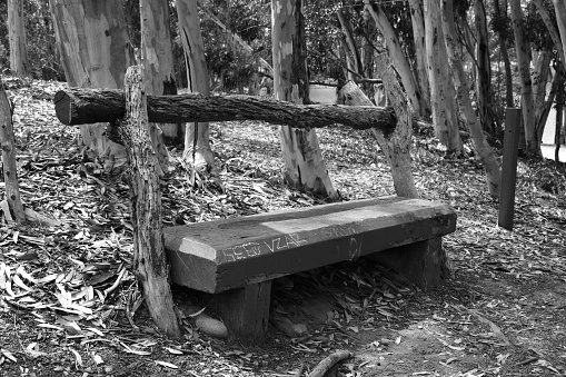 A grayscale of an old wooden bench in a park with forest and autumn leaves on the ground