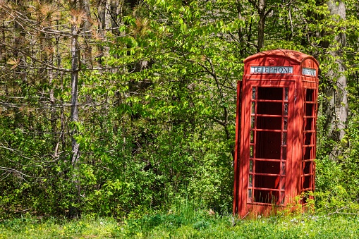 An empty British red telephone box with green trees surroundings