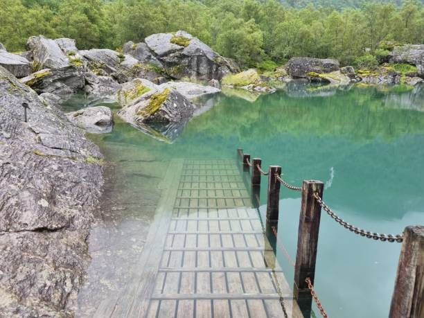 istock Wooden deck in the water with huge rocks and trees 1446633052