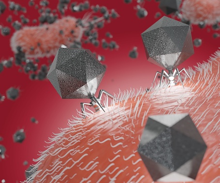 Podoviridae T7 bacteriophage is swarming and infecting pseudomonas bacteria 3d rendering