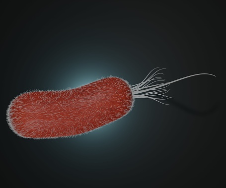 Isolated Pseudomonas aeruginosa is a common encapsulated, rod-shaped bacterium that can cause disease in plants and animals, including humans 3d rendering