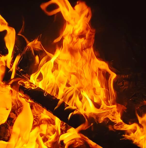 istock Vertical shot of a vibrant bonfire in a forest at night 1446636145