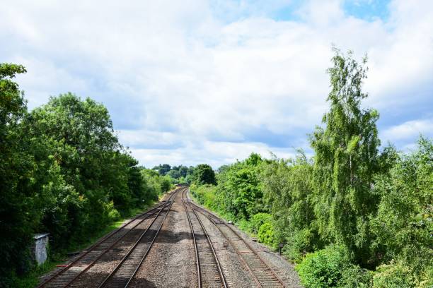 istock Railways running parallel to each other, surrounded by lush greenery under a bright cloudy sky 1446636391