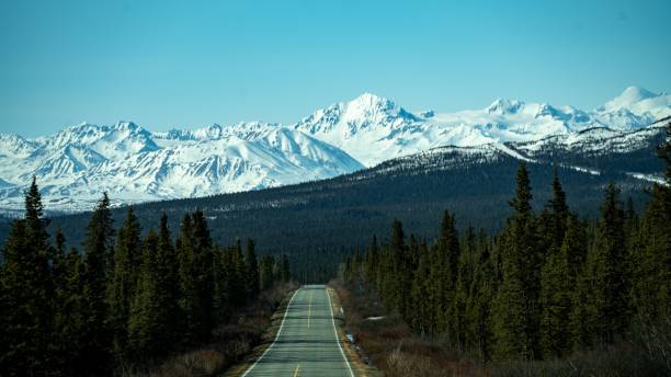 istock Empty road passing through a forest with snowy mountain range in the background 1446636461