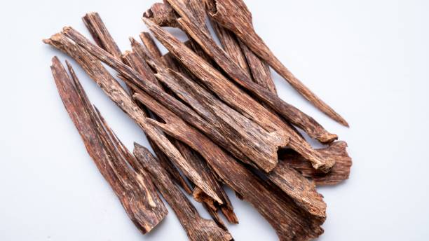 istock Closeup of agarwood sticks on white background 1446637418