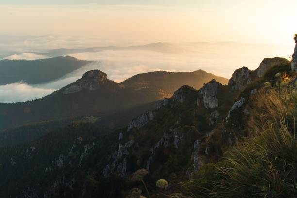 istock Beautiful cloudy sunrise over the mountains 1446637472