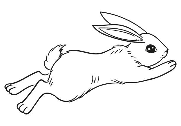 Jumping Rabbit Simple Drawing How To Draw A Rabbit Hopping