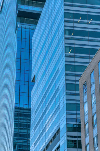 istock Modern building exterior view with glass facade in downtown Austin Texas 1446639521