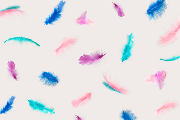 istock Colorful feathers flying on a white background. 
Feather abstract background idea. 1446639538