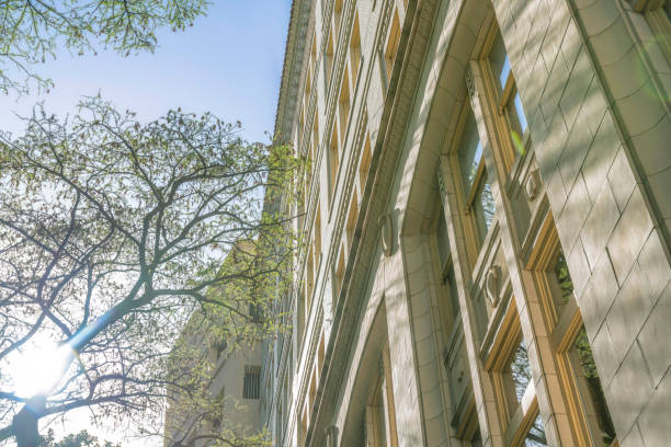 istock Looking up at a building exterior against blue sky and trees on a sunny day 1446641459