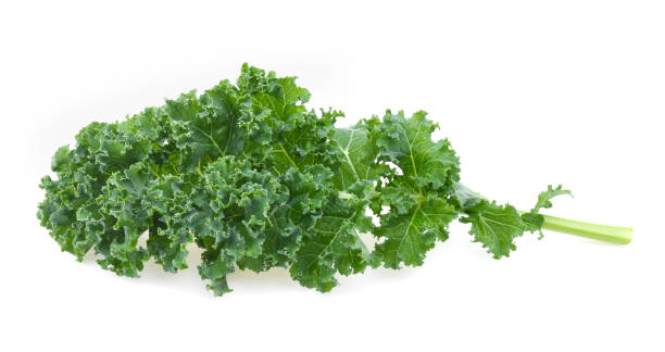 istock Kale leaf salad vegetable isolated on white background 1446645553
